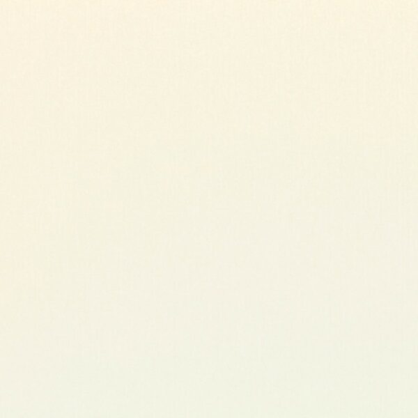 Forenza Fabric - Shell by white plain velvet-chenille fabric from Romo