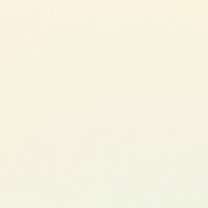 Forenza Fabric - Shell swatch