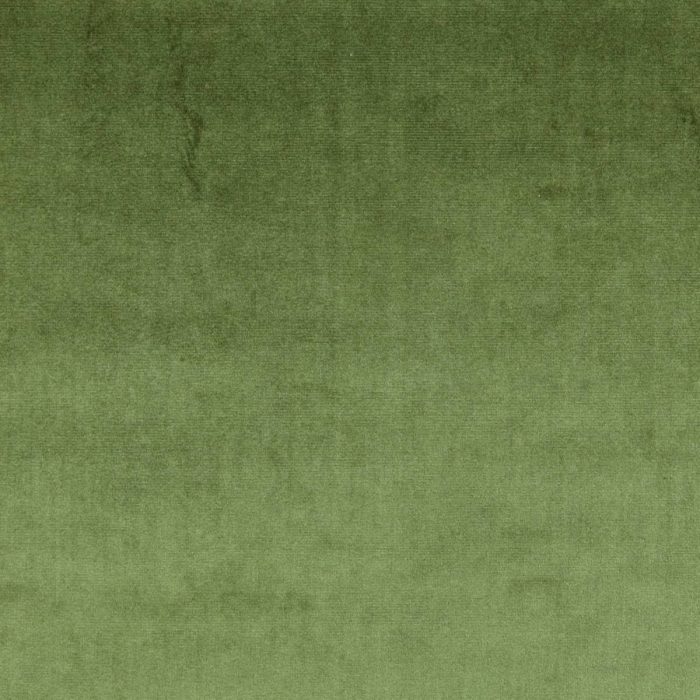 Velour Fabric - Hunter swatch
