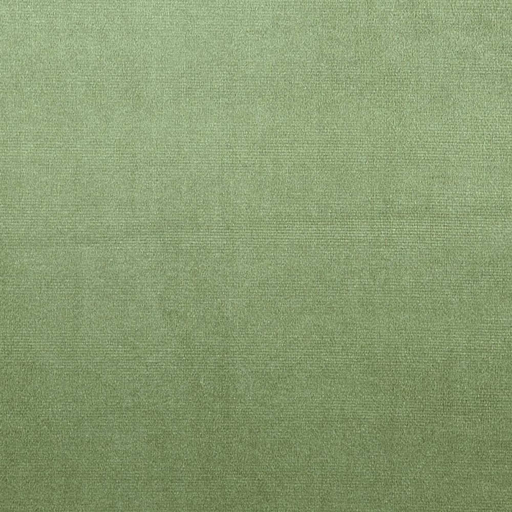 Velour Fabric - Willow by green plain velvet-chenille fabric from Prestigious Textiles