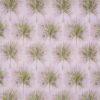 pink botanical cotton fabric from Prestigious Textiles