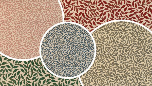 Liscio Fabric - Almond from