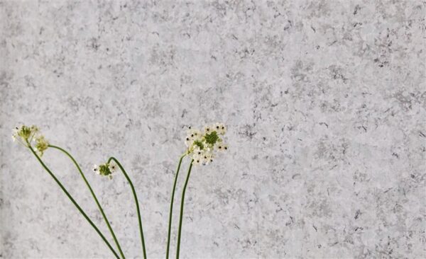Lustro Wallpaper - Tuberose from