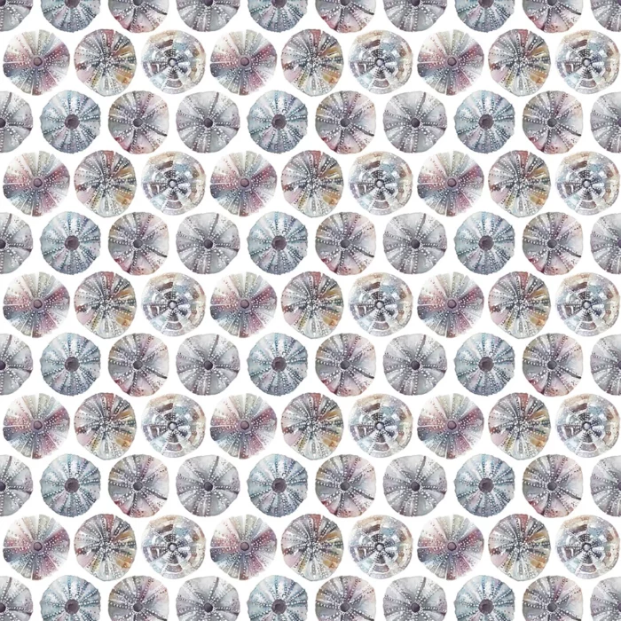 Sea Urchins Fabric - Abalone swatch