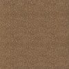 brown misc velvet-chenille fabric from Zoffany
