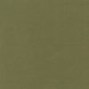 green plain velvet-chenille fabric from Wemyss