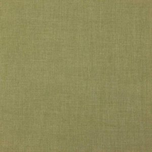 green plain woven fabric from Warwick