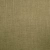 green plain woven fabric from Warwick