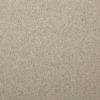 neutral plain woolen fabric from Warwick