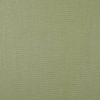 green plain woven fabric from Warwick