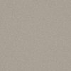 black-grey plain woven fabric from Warwick