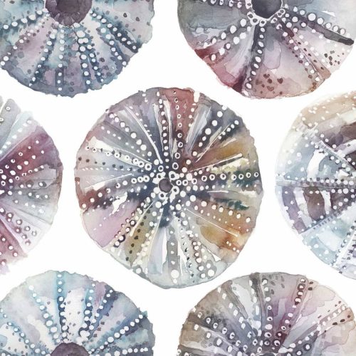 Sea Urchins Fabric - Abalone by Sea Urchins Fabric - Abalone from