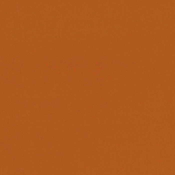 Barcelona Fabric - Russet swatch