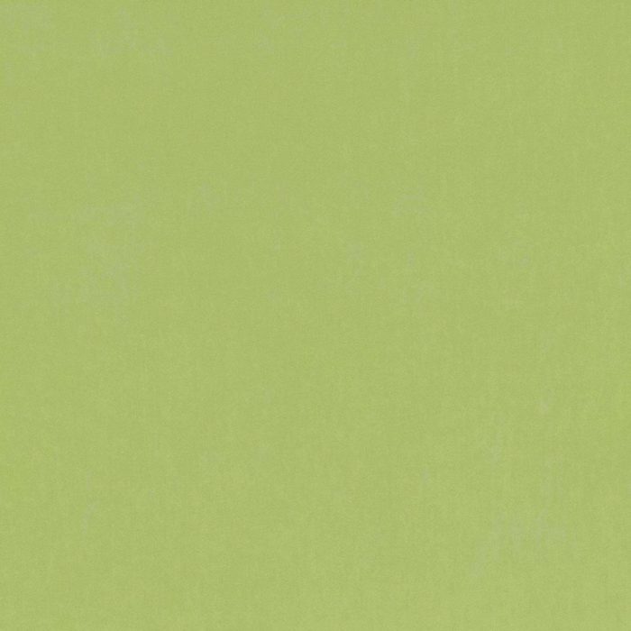 Barcelona Fabric - Matcha swatch