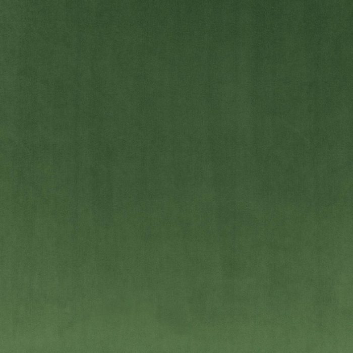 Rio Fabric - Evergreen swatch
