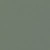 green plain cotton fabric from Villa Nova