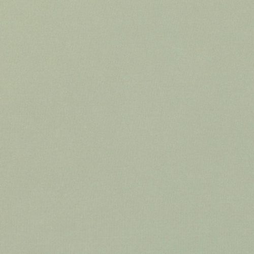 Valleta Fabric - Willow by green plain cotton fabric from Villa Nova