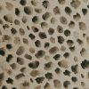 brown animal velvet-chenille fabric from Utopia