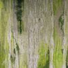 green striped velvet-chenille fabric from Utopia