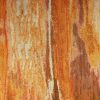 orange striped velvet-chenille fabric from Utopia