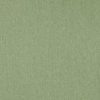 green plain woven fabric from Studio G