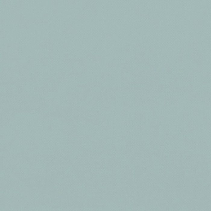 Renzo Fabric - Duckegg swatch