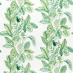Calathea Fabric - Botanical Green