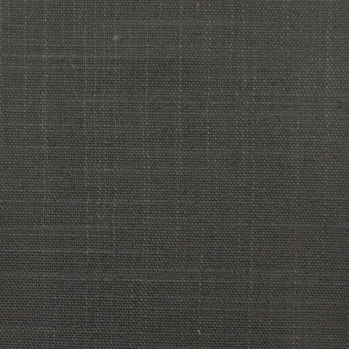 Asuri Fabric - Charcoal by black-grey plain linen fabric from Romo