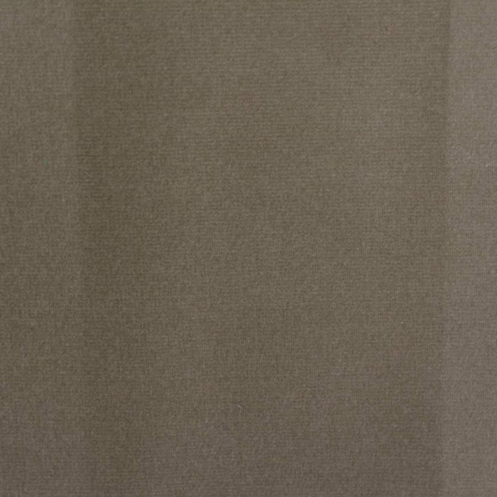 Forenza Fabric - Mole swatch