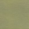green plain woven fabric from Romo