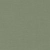 green plain woven fabric from Romo