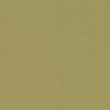 green plain woven fabric from Romo