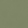 green plain woven fabric from Romo