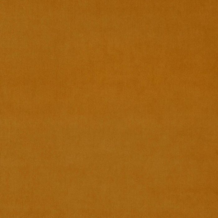 Omega Fabric - Spice swatch