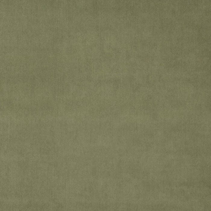 Omega Fabric - Green Tea swatch
