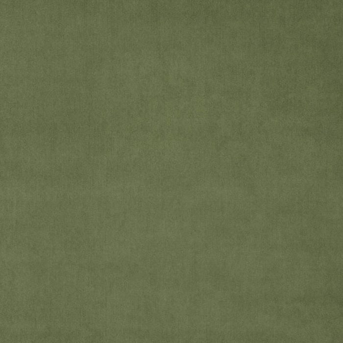 Omega Fabric - Winter Moss swatch