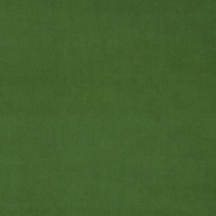 Omega Fabric - Parakeet swatch