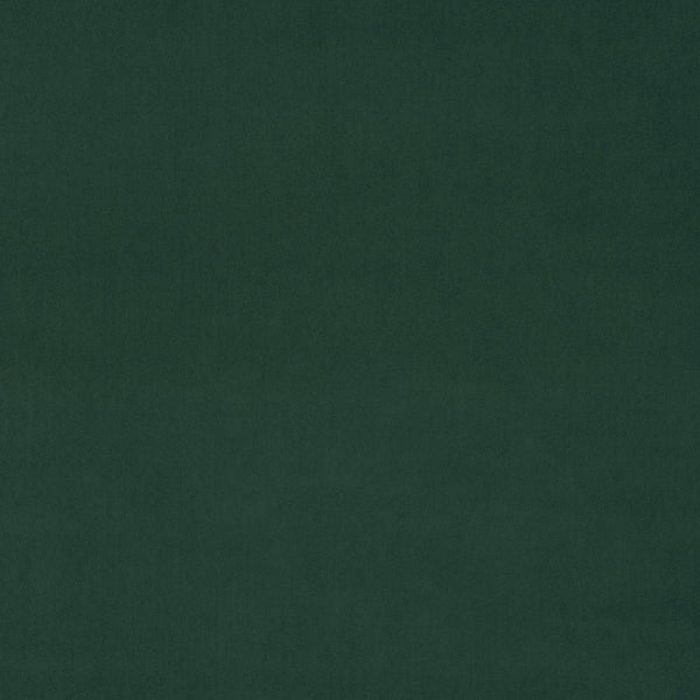 Omega Fabric - Pine swatch