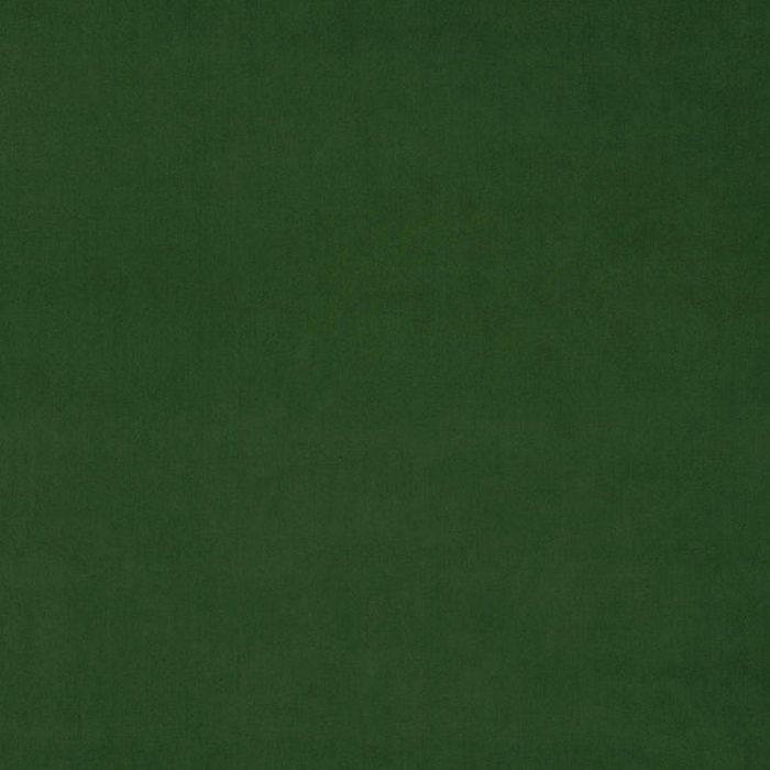 Omega Fabric - Spruce swatch
