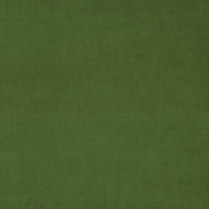 Omega Fabric - Shamrock swatch