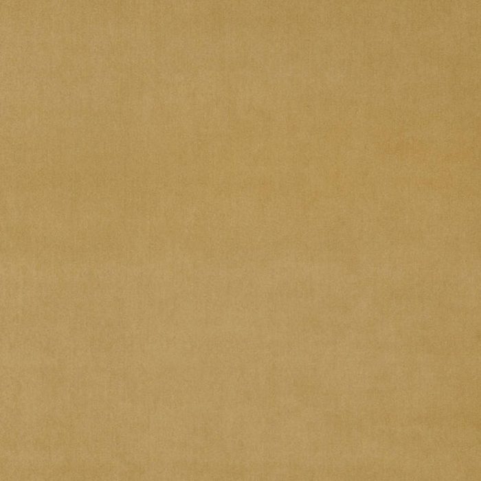 Omega Fabric - Fools Gold swatch