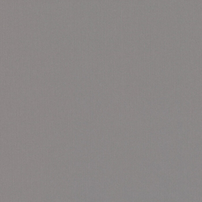 Forenza Fabric - Andesite swatch