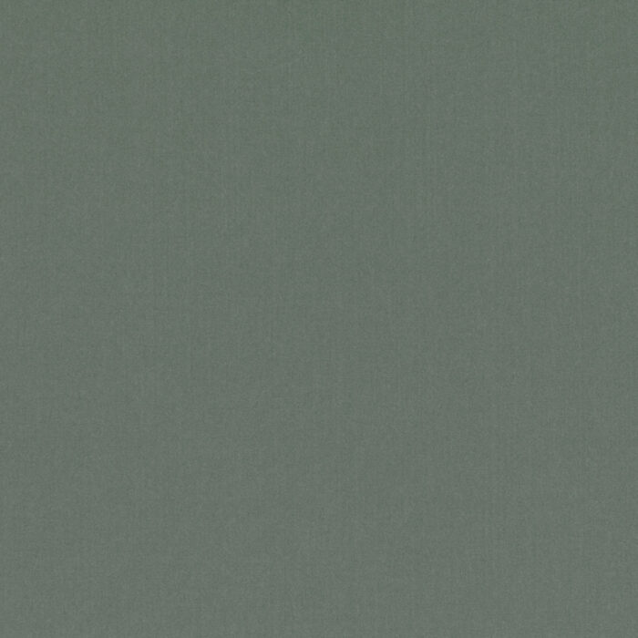 Forenza Fabric - Agave swatch