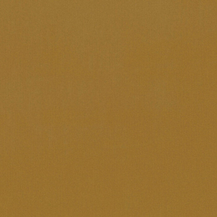 Forenza Fabric - Cumin swatch