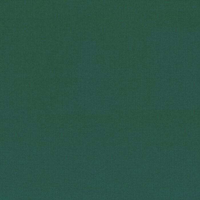 Forenza Fabric - Ivy swatch