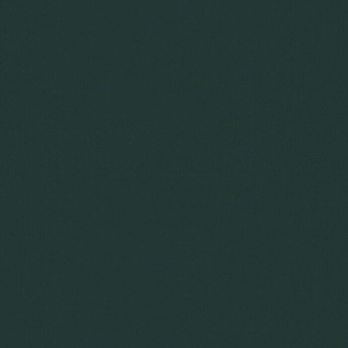 Forenza Fabric - Hunter swatch