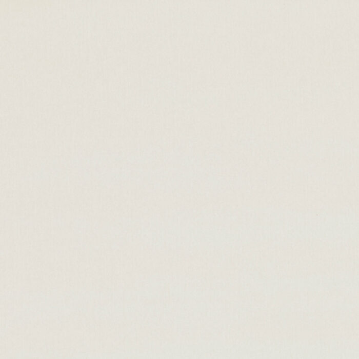 Forenza Fabric - Briosca swatch