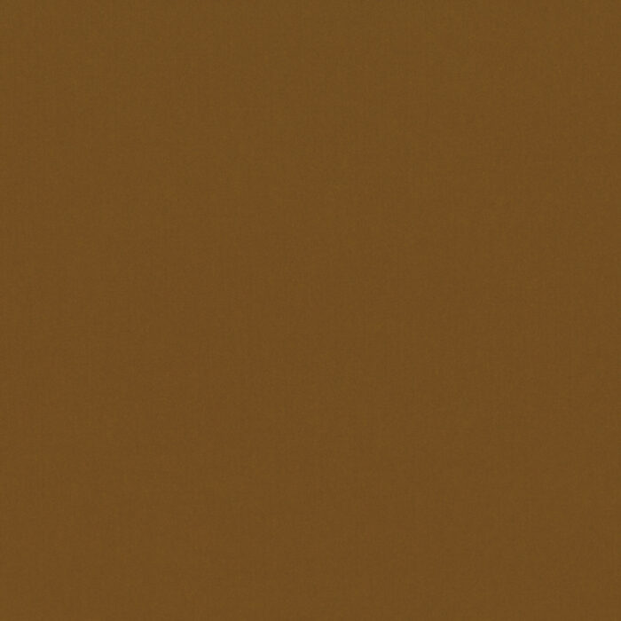 Forenza Fabric - Cinnamon swatch