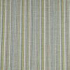 green striped woven fabric from iLiv