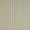 green striped woven fabric from iLiv
